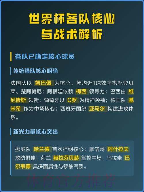 世界杯各队战术与策略深度剖析